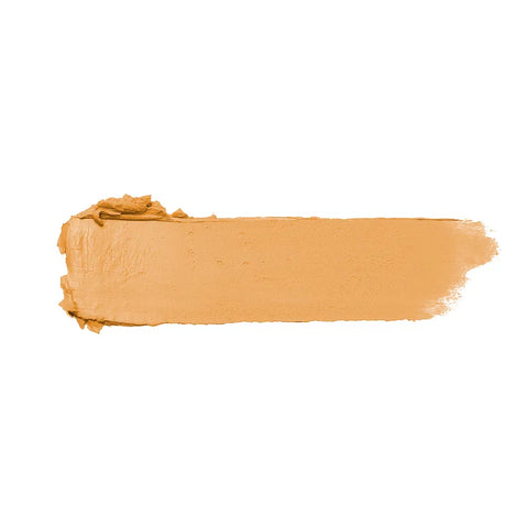 CORRECTIVE STICK COVER FRAN